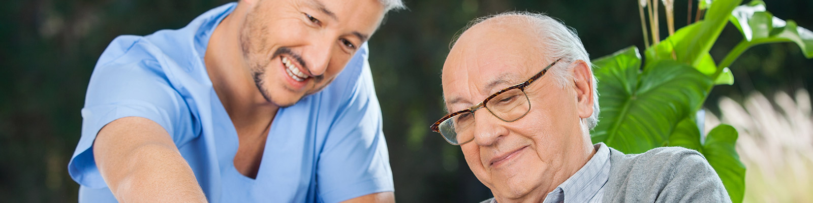 Terms and Conditions