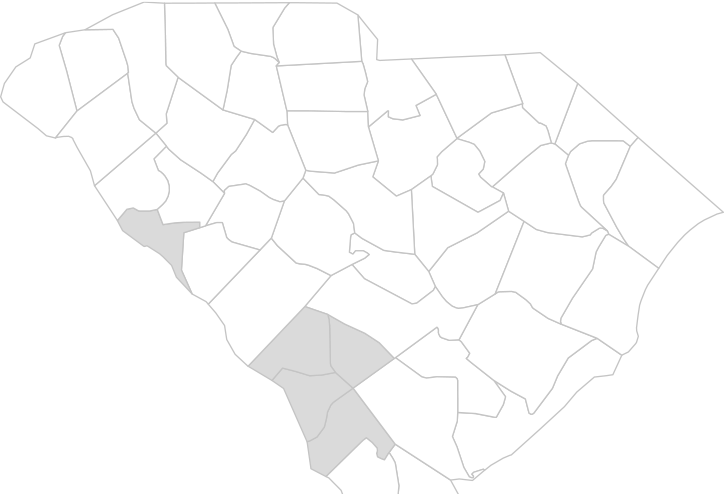 South Carolina with county outlines
